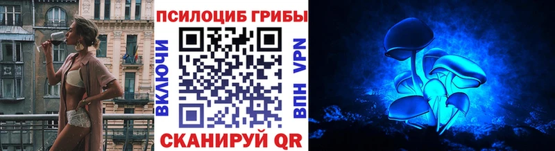 Псилоцибиновые грибы Magic Shrooms  закладка  MEGA   Красный Сулин 